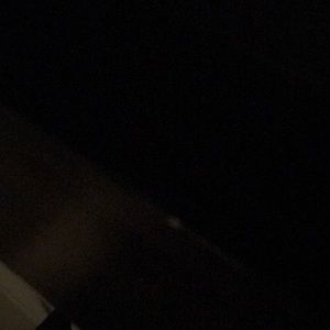 Meet your Posher, Joey